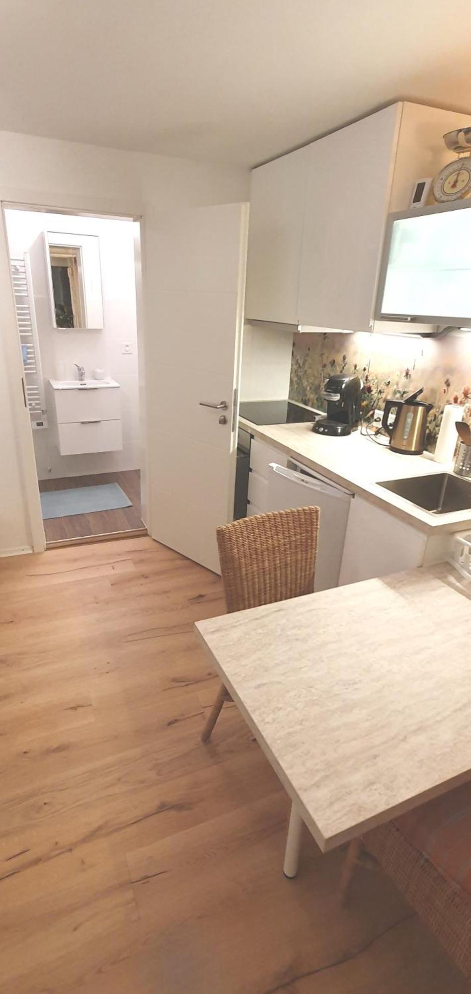 Stilvoll Gertrud Schloessli 1 Zi Studio St. Gallen Εξωτερικό φωτογραφία